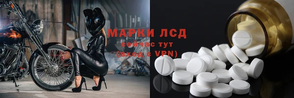 PSILOCYBIN Баксан