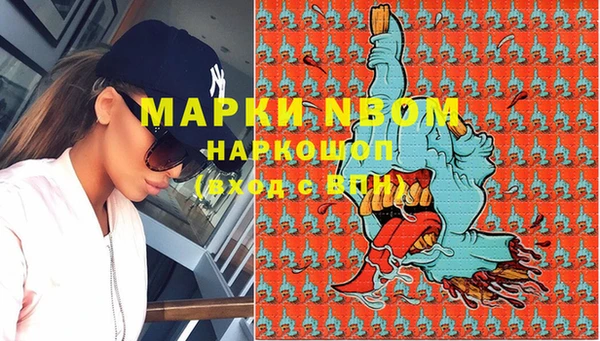 PSILOCYBIN Баксан